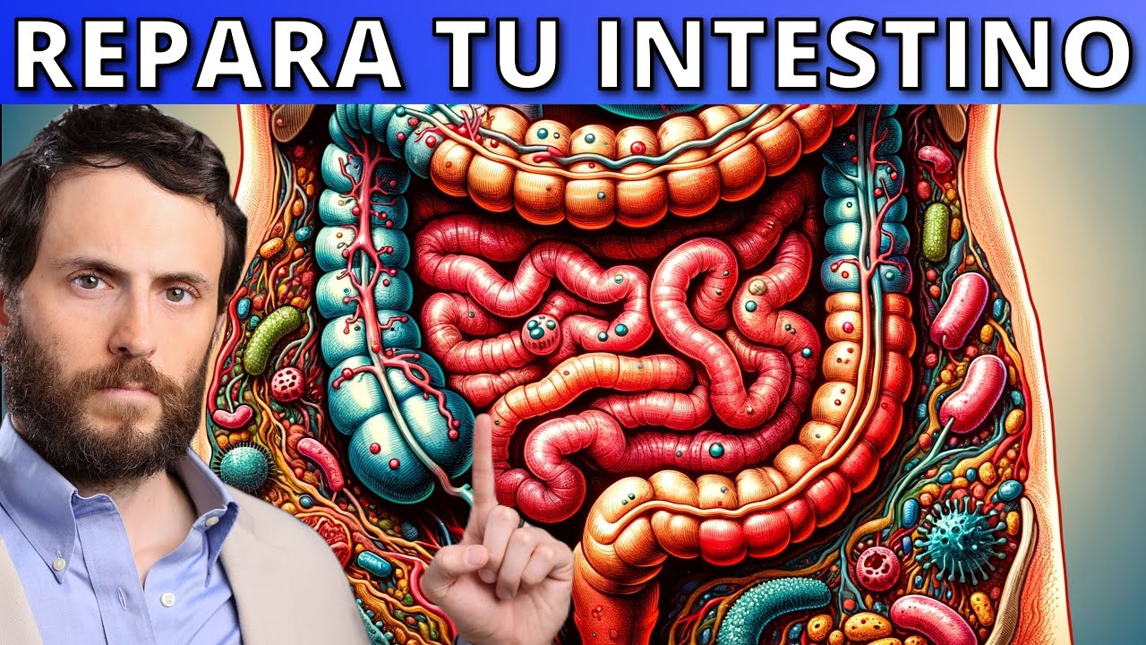 Todo lo que necesitas para reparar tus INTESTINOS (con Escuela de Salud Integrativa)
