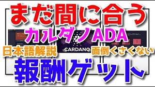 カルダノADA 報酬ゲット 見逃すな！日本語図解解説！インセンティブ付きテストネット！あっちゃん仮想通貨ニュース