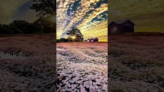 Download lagu her eyes her curls her smile🤗🤗 mp3