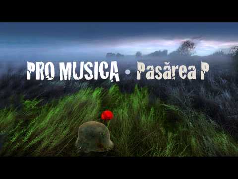 PRO MUSICA - Pasărea P