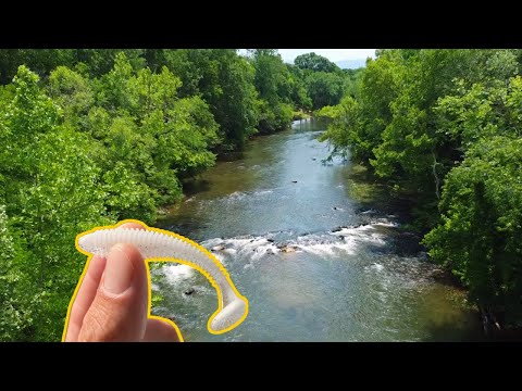 How Did I Forget This Lure!!