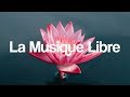 |Musique libre de droits| Ikson - Bloom