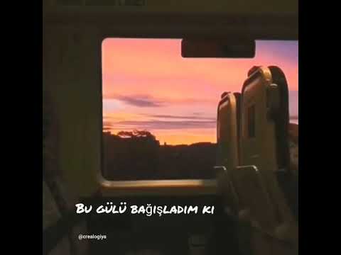 Aid - mavi qizilguller sözləri