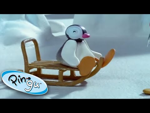 Pinga Enjoys Some Winter Sports! @Pingu – Official Channel | Cartoons For Kids - Kids (0-4), Kingdom Kids Zone - Pingu - Official Channel