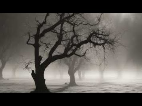 Psalm 39 CSB: middle Eastern fusion, pop