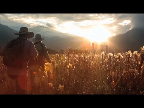 LA MONTAÑA | PELÍCULA 2020 COMPLETA EN ESPAÑOL | COLOMBIA