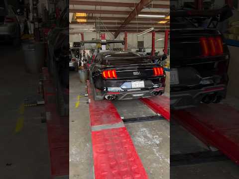 MACH 1 Mustang GT CORSA EXTREME Catback Install‼️#shorts