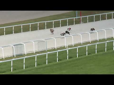 2018.05.20. - Agár verseny