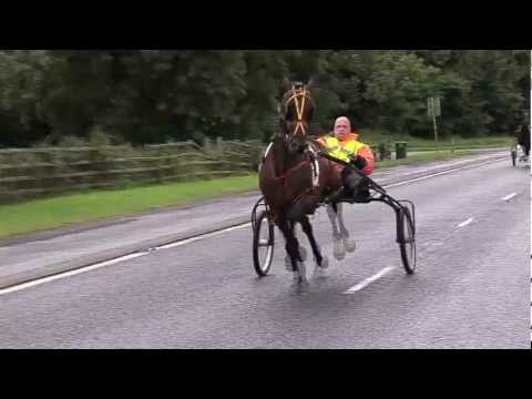 VICTORIA BAR CHARITY HORSE RACE