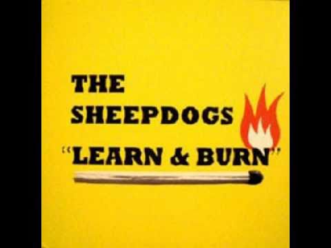 Learn And Burn - The Sheepdogs