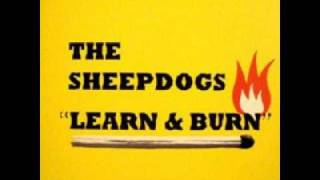 The Sheepdogs - The One You Belong To