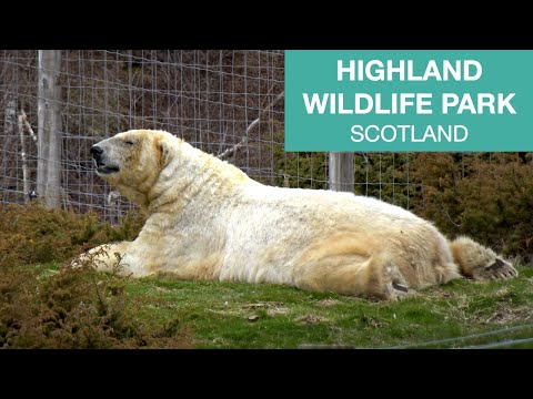 The Highland Wildlife Park, Scotland