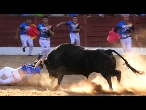 Fuentesaúco Concurso con Toros Bravos 2023