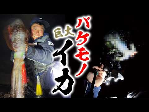 自己新記録！化け物サイズの巨大イカを釣って新聞載りました【後編】