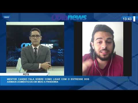 Treinador de caÌƒes daÌ dicas de como lidar com problemas de sauÌde dos animais na pandemia 17 09