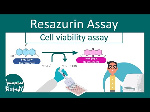 Resazurin Cell Viability Assay | Why Resazurin assay is performed? | principle and application .