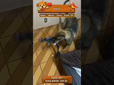 Vídeo de THÉO