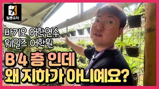 유튜브썸네일2