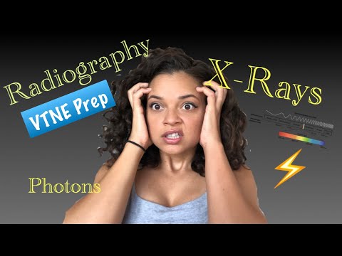 Radiography | X-rays | VTNE Prep | Review With Me