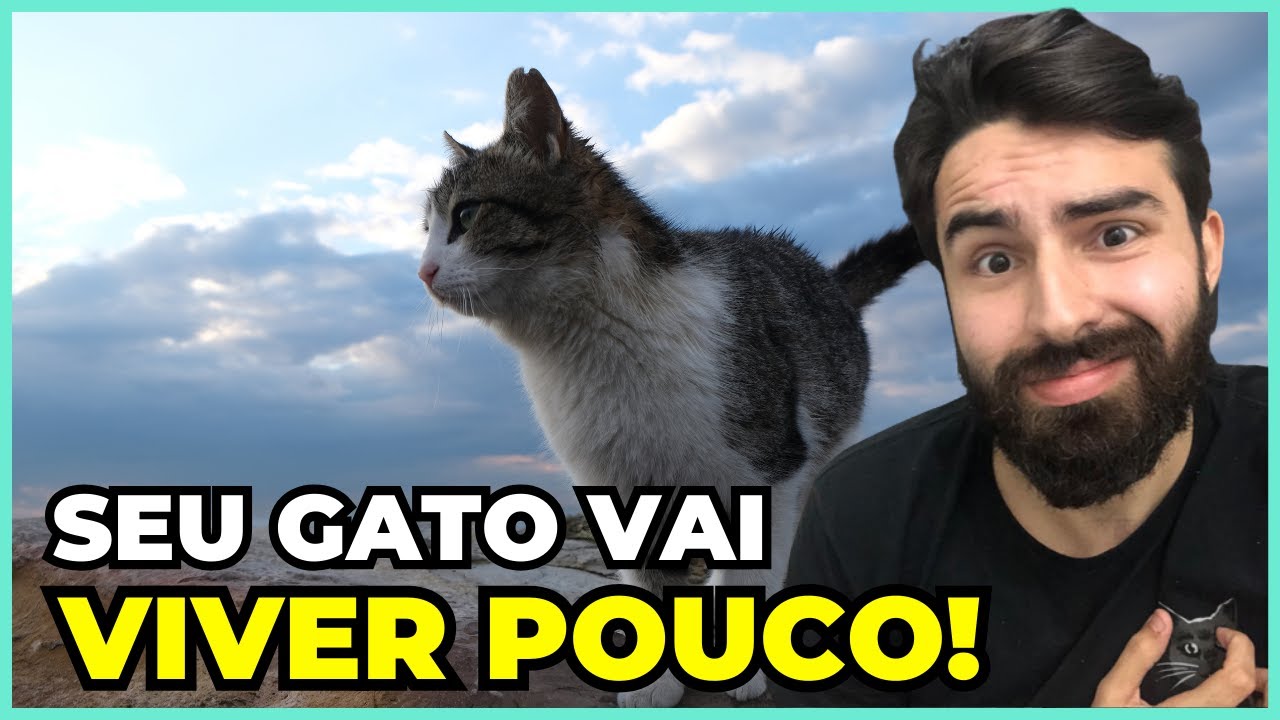 Se Você Faz ISSO, Seu Gato Vai VIVER POUCO TEMPO!
