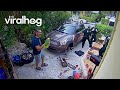 Neighbor Calls Police On Parrot ViralHog