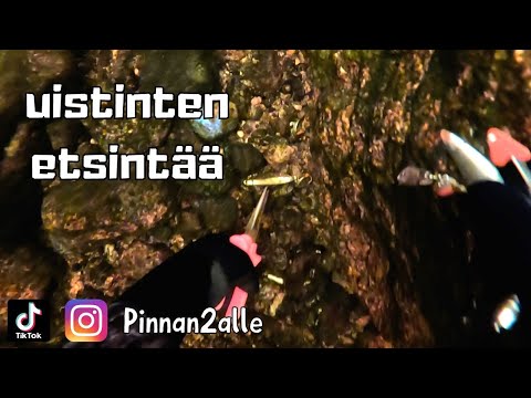 UISTINTEN ETSINTÄÄ! [Pinnan2alle #34]