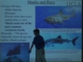 Blue Planet Oceanography Lec 23 E S Sci 15 UCLA