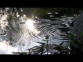 The Cinematic Orchestra - Crimson Skies 