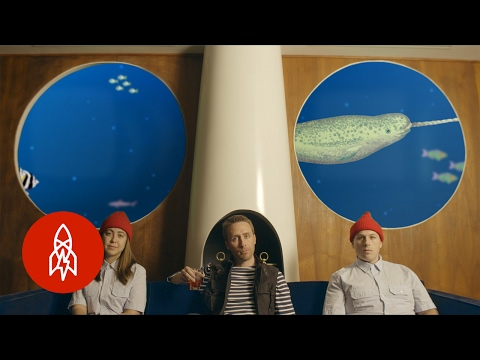 Crossing Paths With A Narwhal | The Magical Aquatic World with Philippe Cousteau