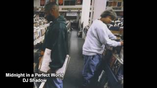 all samples from midnight in a perfect world by DJ Shadow