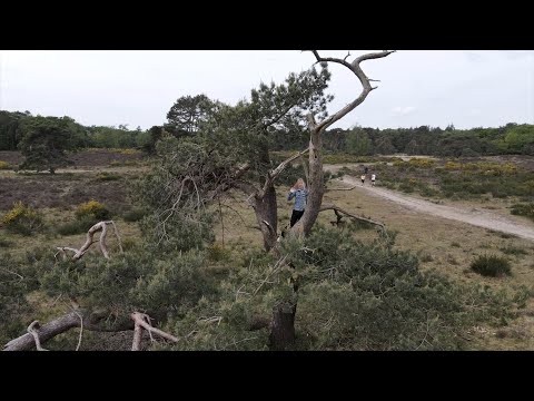 DJI Mavic Air 2 4K Footage - Huizen Netherlands