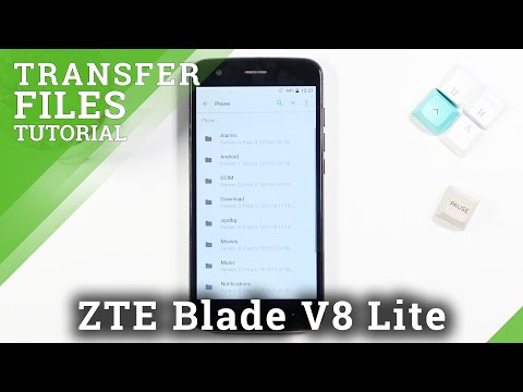 How to Transfer Data in ZTE Blade V8 Lite – Move Files