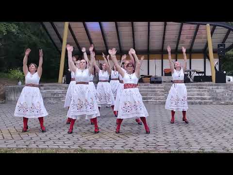 Keegi tulla võib/Tammiku Naisrahvatantsurühm/Iisaku/Estonia