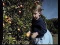 Teletubbies Orange Picking US Version