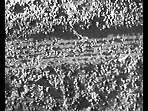 Still Water Runs Red - State Trooper