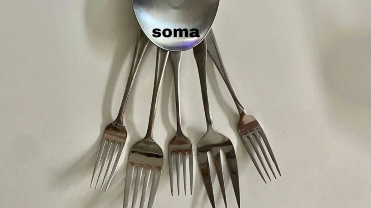 Pandemic Connections NW Noggin