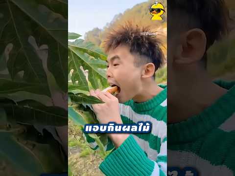 แอบกินผลไม้ครั้งนี้ซวยที่สุด