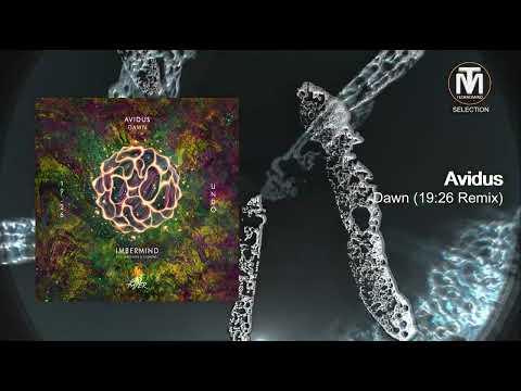 Avidus - Dawn (19:26 Remix) [Fayer]