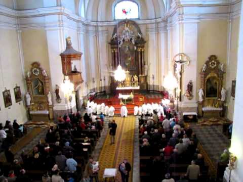 Dlouho již (Volám haleluja) - schola Pozořice "Pošukov" (neděle 20.11.2011)