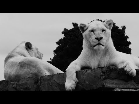 Mina Blazev - Vo Drugi Dushi