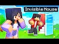 finding my husband s invisible minecraft house