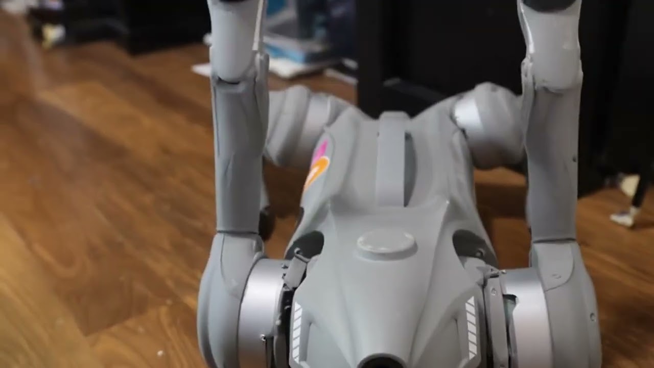 robot dog gets up and does a backflip
