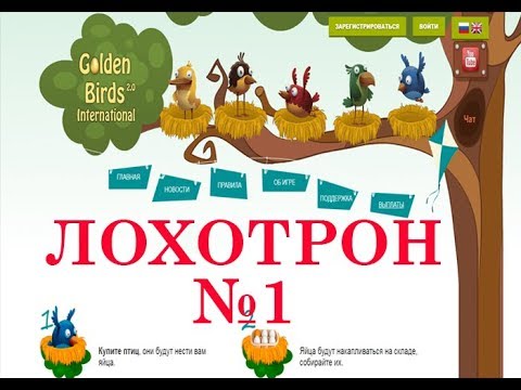 download lagu mp3 mp4 Goldenbirds, download lagu Goldenbirds gratis, unduh video klip Goldenbirds