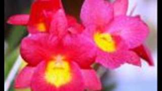 Download lagu Bendrong kering Dermayuan mp3