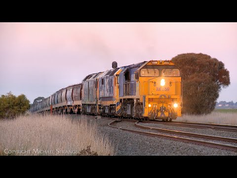7737V Pacific National Grain Train With XR559 8135 G539 Arrives At Gheringhap (10/8/2025) - PoathTV