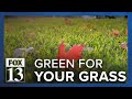 Will you get paid more green for your grass?