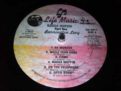 Barrington Levy   While Your Gone