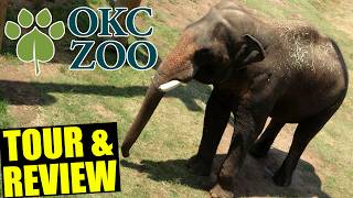 Oklahoma City Zoo Tour & Review with The Legend