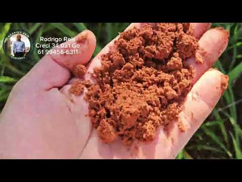 Chácaras Planas - Terra de Cultura em Alexânia Go por  apenas 130Mil a vista (61) 99456-6311 