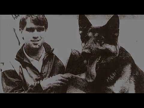 torquay united vrs crewe alex 1987 great escape